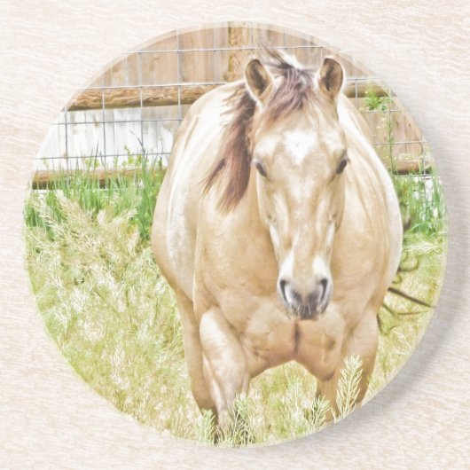 Lazy Morning Sandstein Untersetzer (Vorne)