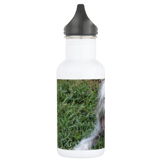 Lazy Mutt Trinkflasche (Links)