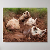 Lazy Pigs in Mud Poster (Vorne)