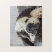 Lazy Saint Bernard Hund Puzzle (Vertikal)