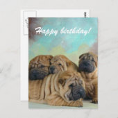 Lazy shar pei Glückwunsch Geburtstag Karte! Postkarte (Vorne/Hinten)