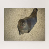 Lazy Siegel Puzzle (Horizontal)