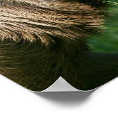 Lazy Sloth Poster (Ecke)