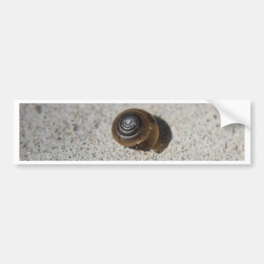 Lazy Snail Autoaufkleber (Vorne)