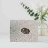 Lazy Snail Postkarte (Stehend Vorderseite)
