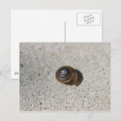 Lazy Snail Postkarte (Vorne/Hinten)