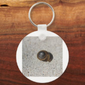 Lazy Snail Schlüsselanhänger (Vorderseite)