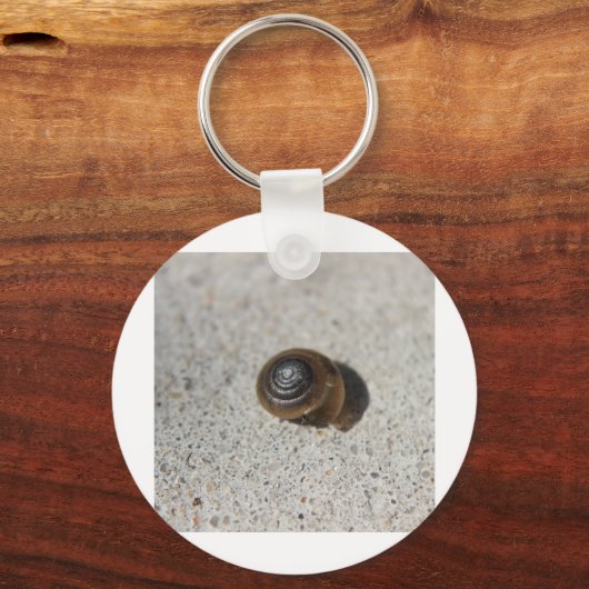 Lazy Snail Schlüsselanhänger (Vorderseite)