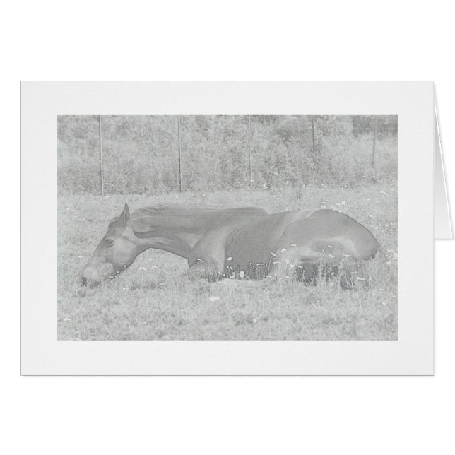 Lazy Sommertage (Vorderseite (Horizontal))