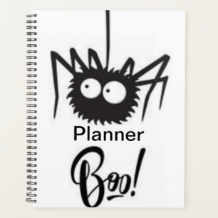 Lazy Spider Planer