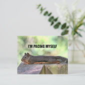 Lazy Squirrel Foto Postkarte (Stehend Vorderseite)
