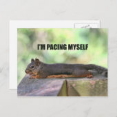 Lazy Squirrel Foto Postkarte (Vorne/Hinten)