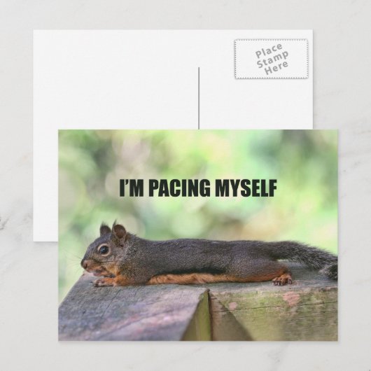 Lazy Squirrel Foto Postkarte (Vorne/Hinten)