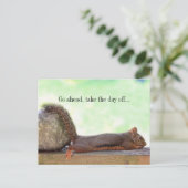 Lazy Squirrel Postkarte (Stehend Vorderseite)