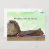Lazy Squirrel Postkarte (Vorne/Hinten)