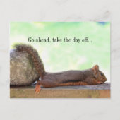 Lazy Squirrel Postkarte (Vorderseite)
