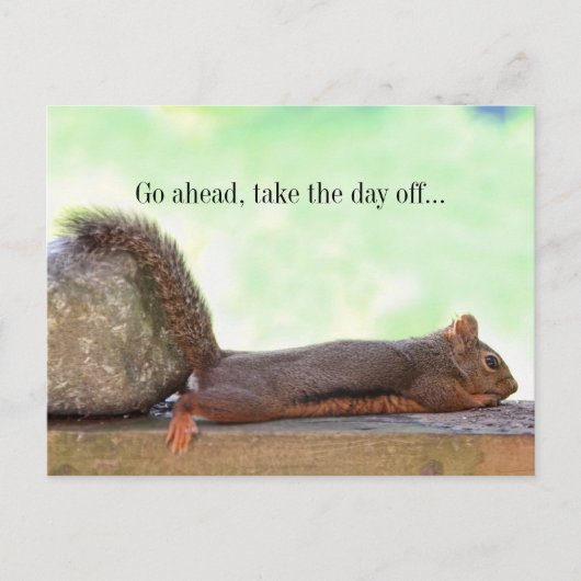 Lazy Squirrel Postkarte (Vorderseite)