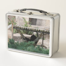 Lazy Summer Day Bären in Hammock