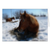 Lazy Winter Day (Vorderseite (Horizontal))