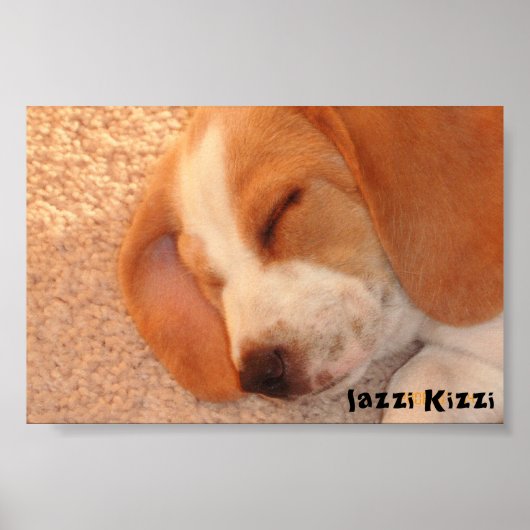 lazzi Kizzi Poster (Vorne)