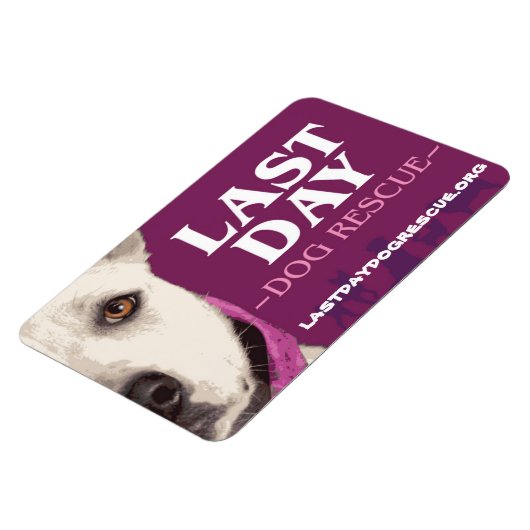 LDDR-4"x 6"-Logomagnet Magnet (Linke Seite)