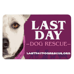 LDDR-4"x 6"-Logomagnet Magnet