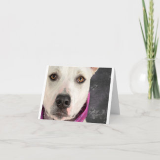 LDDR Anmerkungs-Karte Karte