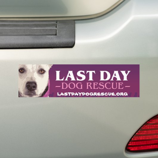 LDDR Autoaufkleber (Auf Auto)