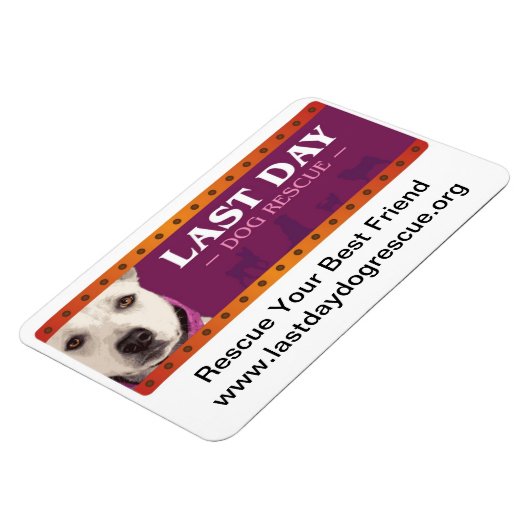 LDDR Car Magnet (Linke Seite)