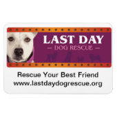 LDDR Car Magnet (Horizontal)