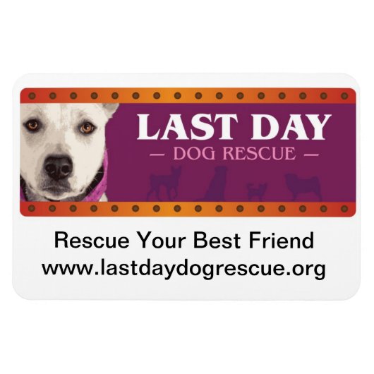 LDDR Car Magnet (Horizontal)