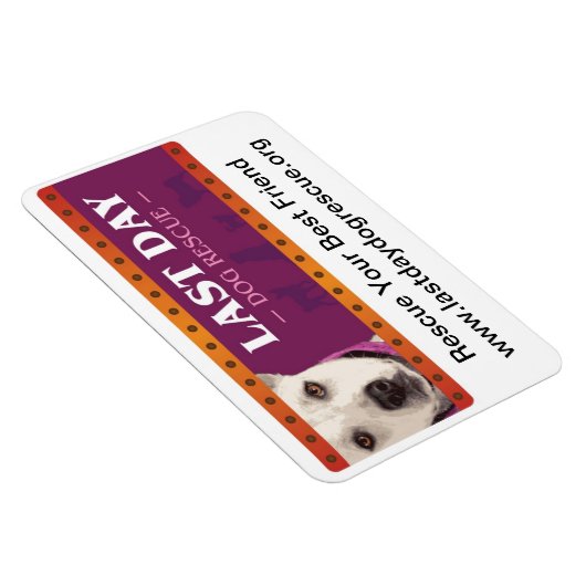 LDDR Car Magnet (Rechte Seite)