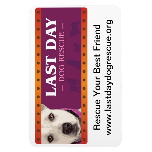 LDDR Car Magnet (Vertikal)