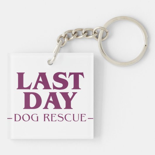 LDDR Logo-Schlüsselanhänger Schlüsselanhänger (Rückseite)