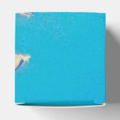 ldp SANTA CATALINA Island - Kalifornien - Hafen Geschenkschachtel (Oben)