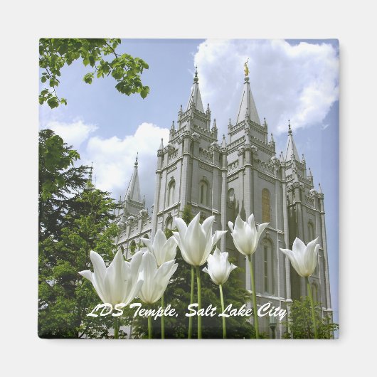 LDS Tempel, Salt Lake City Magnet (Vorne)