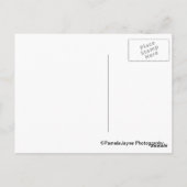 Le Bouquiniste Postkarte (Rückseite)