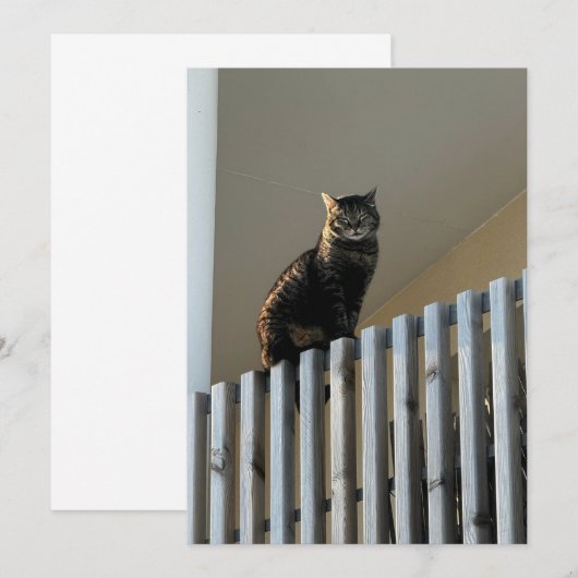 Le Chat (Vorne/Hinten)