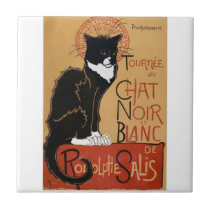 Le Chat Noir et Blanc Fliese