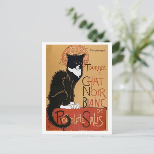 Le Chat Noir et Blanc Postkarte (Stehend Vorderseite)