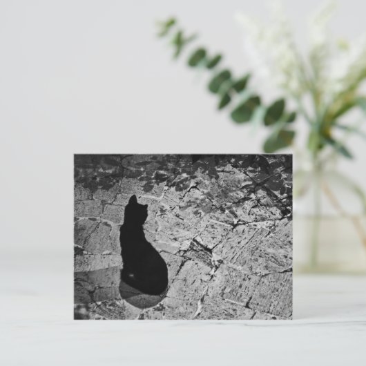 Le Chat Noir Postkarte (Stehend Vorderseite)