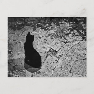 Le Chat Noir Postkarte