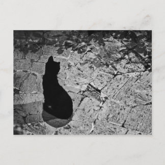 Le Chat Noir Postkarte