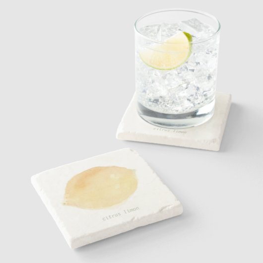 le citron steinuntersetzer (Seitenansicht)