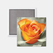 Le coeur d'une Rose Magnet (Vorderseite/Rückseite)