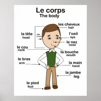 Le corps der Körper Französisch Englisch Bildung Poster