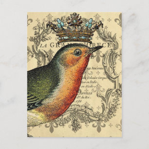 Le Fleur Kronenvogel Postkarte
