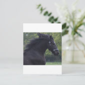 LE FRISON LA PERLE NOIRE POSTKARTE (Stehend Vorderseite)