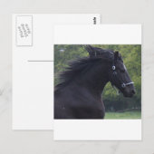 LE FRISON LA PERLE NOIRE POSTKARTE (Vorne/Hinten)