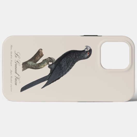 Le Grand Vaza / Greater Vasa Parrot Case-Mate iPhone Hülle (Rückseite (Horizontal))